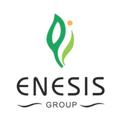 Enesis